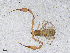  ( - BGE_00506_G07)  @11 [ ] Copyright (2024) Unspecified Croatian Biospeleological Society