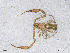 ( - BGE_00506_G07)  @11 [ ] Copyright (2024) Unspecified Croatian Biospeleological Society