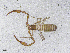  ( - BGE_00506_G09)  @11 [ ] Copyright (2024) Unspecified Croatian Biospeleological Society
