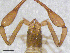  ( - BGE_00506_H01)  @11 [ ] Copyright (2024) Unspecified Croatian Biospeleological Society