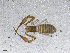  ( - BGE_00506_H01)  @11 [ ] Copyright (2024) Unspecified Croatian Biospeleological Society