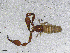  ( - BGE_00506_H04)  @11 [ ] Copyright (2024) Unspecified Croatian Biospeleological Society