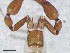  ( - BGE_00506_H09)  @11 [ ] Copyright (2024) Unspecified Croatian Biospeleological Society