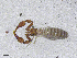  ( - BGE_00506_H09)  @11 [ ] Copyright (2024) Unspecified Croatian Biospeleological Society