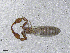  ( - BGE_00506_H09)  @11 [ ] Copyright (2024) Unspecified Croatian Biospeleological Society