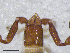  ( - BGE_00506_H10)  @11 [ ] Copyright (2024) Unspecified Croatian Biospeleological Society