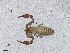  ( - BGE_00506_H10)  @11 [ ] Copyright (2024) Unspecified Croatian Biospeleological Society