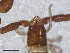  ( - BGE_00506_H11)  @11 [ ] Copyright (2024) Unspecified Croatian Biospeleological Society