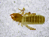  ( - BGE_00508_A04)  @11 [ ] Copyright (2025) Unspecified Croatian Biospeleological Society