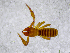  ( - BGE_00508_B02)  @11 [ ] Copyright (2025) Unspecified Croatian Biospeleological Society