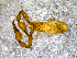  ( - BGE_00508_B03)  @11 [ ] Copyright (2024) Unspecified Croatian Biospeleological Society
