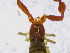  ( - BGE_00508_B05)  @11 [ ] Copyright (2025) Unspecified Croatian Biospeleological Society