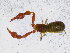  ( - BGE_00508_B05)  @11 [ ] Copyright (2025) Unspecified Croatian Biospeleological Society