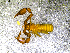  ( - BGE_00508_B06)  @11 [ ] Copyright (2024) Unspecified Croatian Biospeleological Society