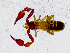  ( - BGE_00508_B07)  @11 [ ] Copyright (2025) Unspecified Croatian Biospeleological Society