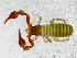  ( - BGE_00508_B08)  @11 [ ] Copyright (2025) Unspecified Croatian Biospeleological Society