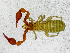  ( - BGE_00508_B08)  @11 [ ] Copyright (2025) Unspecified Croatian Biospeleological Society