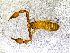  ( - BGE_00508_B09)  @11 [ ] Copyright (2024) Unspecified Croatian Biospeleological Society