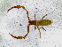  ( - BGE_00508_B11)  @11 [ ] Copyright (2025) Unspecified Croatian Biospeleological Society