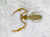  ( - BGE_00508_C01)  @11 [ ] Copyright (2025) Unspecified Croatian Biospeleological Society