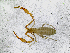  ( - BGE_00508_C01)  @11 [ ] Copyright (2025) Unspecified Croatian Biospeleological Society