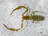 ( - BGE_00508_C05)  @11 [ ] Copyright (2025) Unspecified Croatian Biospeleological Society