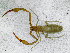  ( - BGE_00508_C05)  @11 [ ] Copyright (2025) Unspecified Croatian Biospeleological Society