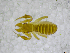  ( - BGE_00502_D08)  @11 [ ] Copyright (2024) Unspecified Croatian Biospeleological Society