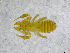  ( - BGE_00502_D08)  @11 [ ] Copyright (2024) Unspecified Croatian Biospeleological Society