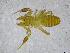  ( - BGE_00502_D09)  @11 [ ] Copyright (2024) Unspecified Croatian Biospeleological Society