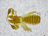  ( - BGE_00502_D10)  @11 [ ] Copyright (2024) Unspecified Croatian Biospeleological Society