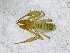  ( - BGE_00508_C12)  @11 [ ] Copyright (2025) Unspecified Croatian Biospeleological Society