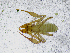  ( - BGE_00508_C12)  @11 [ ] Copyright (2025) Unspecified Croatian Biospeleological Society