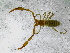  ( - BGE_00508_D03)  @11 [ ] Copyright (2025) Unspecified Croatian Biospeleological Society