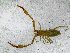  ( - BGE_00508_D03)  @11 [ ] Copyright (2025) Unspecified Croatian Biospeleological Society