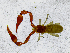  ( - BGE_00508_D04)  @11 [ ] Copyright (2025) Unspecified Croatian Biospeleological Society