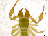  ( - BGE_00501_D06)  @11 [ ] Copyright (2024) Unspecified Croatian Biospeleological Society