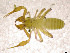 ( - BGE_00501_D06)  @11 [ ] Copyright (2024) Unspecified Croatian Biospeleological Society