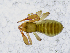  ( - BGE_00508_E10)  @11 [ ] Copyright (2025) Unspecified Croatian Biospeleological Society