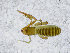  ( - BGE_00508_F03)  @11 [ ] Copyright (2025) Unspecified Croatian Biospeleological Society