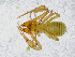  ( - BGE_00508_G01)  @11 [ ] Copyright (2024) Unspecified Croatian Biospeleological Society