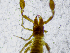  ( - BGE_00508_G09)  @11 [ ] Copyright (2024) Unspecified Croatian Biospeleological Society