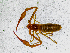  ( - BGE_00508_H03)  @11 [ ] Copyright (2024) Unspecified Croatian Biospeleological Society