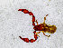  ( - BGE_00508_H08)  @11 [ ] Copyright (2025) Unspecified Croatian Biospeleological Society