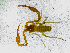  ( - BGE_00507_A05)  @11 [ ] Copyright (2024) Unspecified Croatian Biospeleological Society