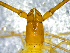  ( - BGE_00507_C11)  @11 [ ] Copyright (2024) Unspecified Croatian Biospeleological Society