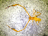  ( - BGE_00507_C11)  @11 [ ] Copyright (2024) Unspecified Croatian Biospeleological Society
