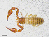  ( - BGE_00507_D01)  @11 [ ] Copyright (2024) Unspecified Croatian Biospeleological Society