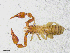  ( - BGE_00507_D01)  @11 [ ] Copyright (2024) Unspecified Croatian Biospeleological Society