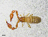  ( - BGE_00507_D02)  @11 [ ] Copyright (2024) Unspecified Croatian Biospeleological Society